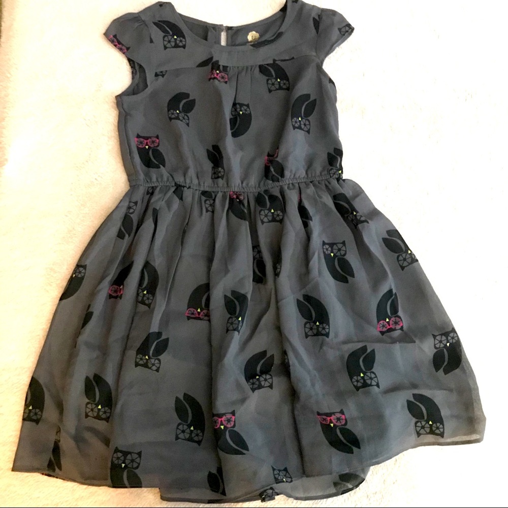 Adorable Size LG Owl Dress